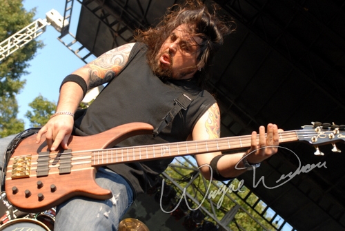 Chimaira by Wayne Dennon