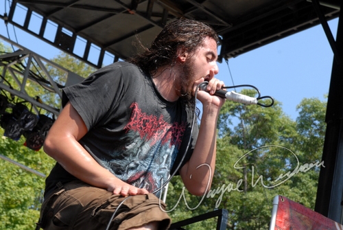 Job for a Cowboy by Wayne Dennon