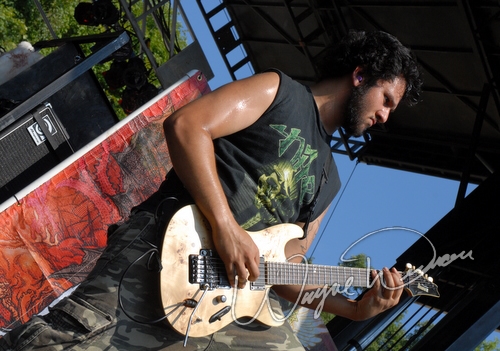 Job for a Cowboy by Wayne Dennon