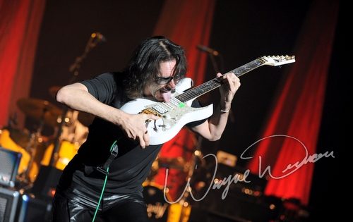 Steve Vai by Wayne Dennon