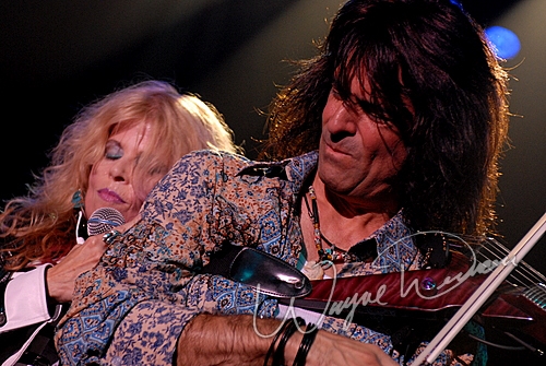 Mark Wood Experience by Wayne Dennon