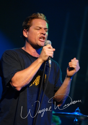 Another Animal by Wayne Dennon