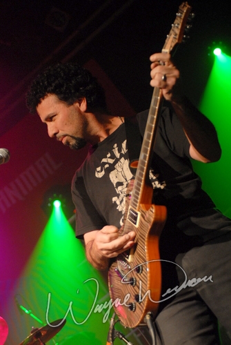 Another Animal by Wayne Dennon