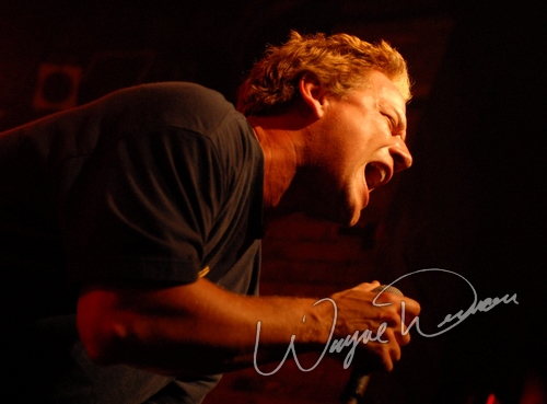 Another Animal by Wayne Dennon