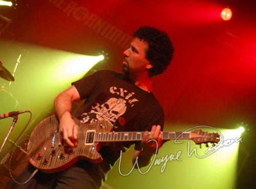 Another Animal by Wayne Dennon