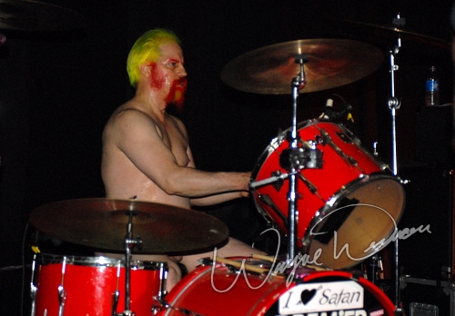 Murder Junkies by Wayne Dennon