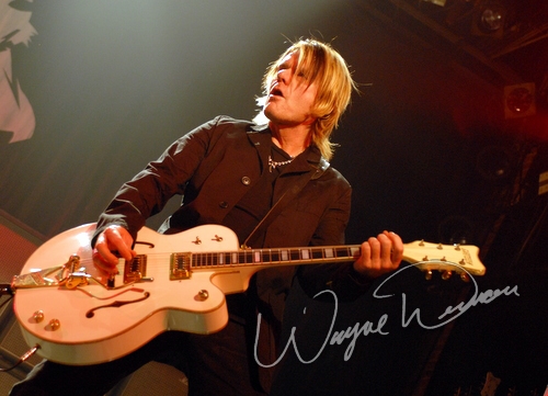 The Cult by Wayne Dennon