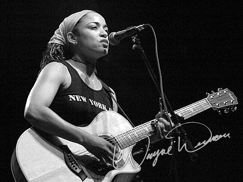 Danielia Cotton by Wayne Dennon