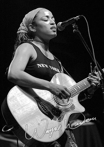 Danielia Cotton by Wayne Dennon