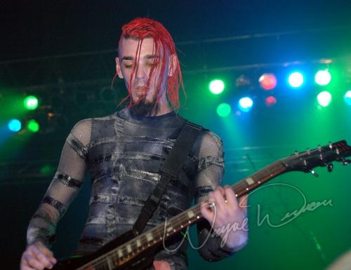 Crossbreed by Wayne Dennon