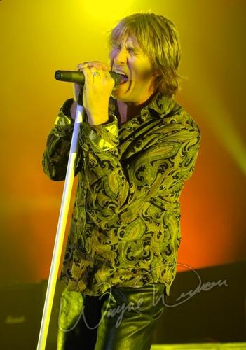 Def Leppard concert photo by Wayne Dennon