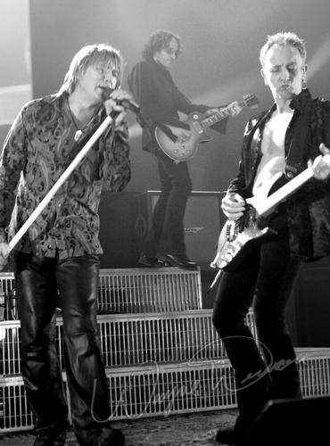 Def Leppard concert photo by Wayne Dennon