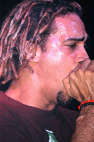 40 Below Summer by Wayne Dennon