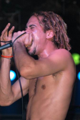 40 Below Summer by Wayne Dennon