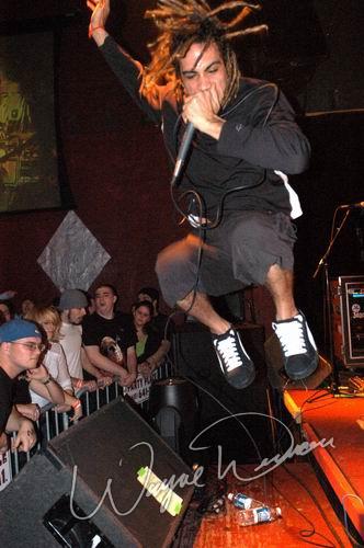 40 Below Summer by Wayne Dennon