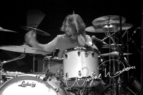 Fu Manchu concert photo by Wayne Dennon