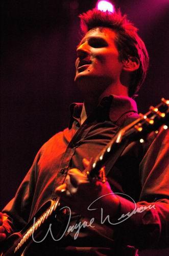 Guster by Wayne Dennon