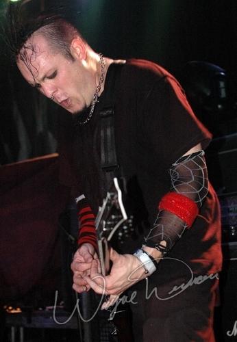 American Head Charge by Wayne Dennon