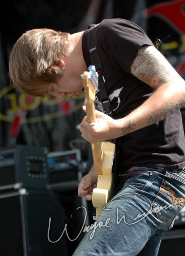 Hawthorn Heights by Wayne Dennon