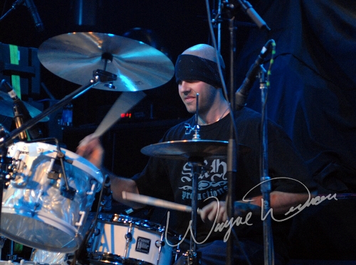 Hed Pe by Wayne Dennon