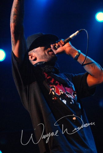 Hed Pe by Wayne Dennon