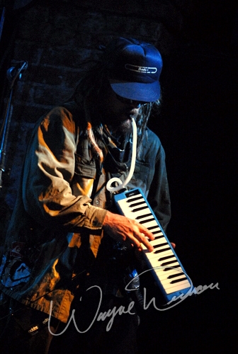 Hed Pe by Wayne Dennon