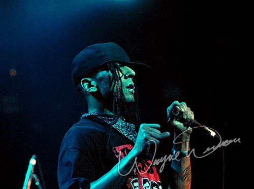 Hed Pe by Wayne Dennon