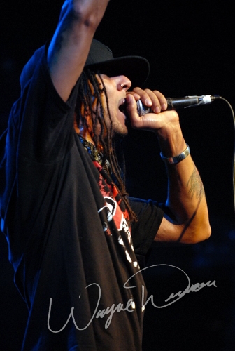 Hed Pe by Wayne Dennon