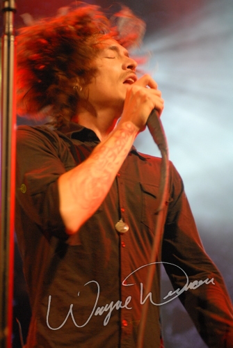 Incubus by Wayne Dennon