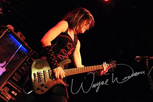 Sick Puppies