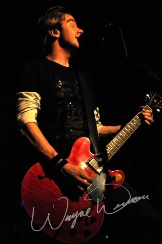Sick Puppies