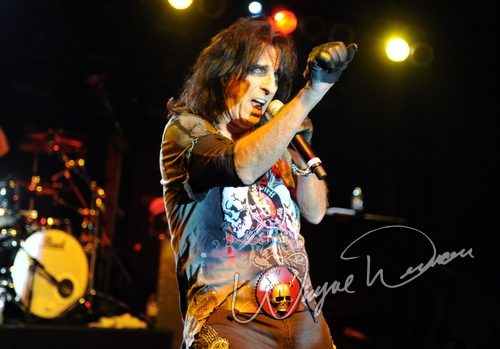 Alice Cooper at Hilton Anaheim Anaheim, CA on January 17, 2009 &mdash; concert photo by Wayne Dennon