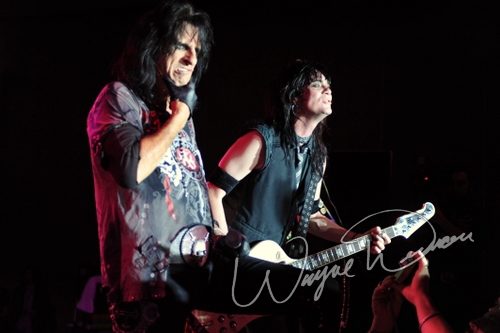 Alice Cooper concert photo by Wayne Dennon