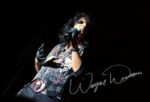 Alice Cooper at Hilton Anaheim Anaheim, CA on January 17, 2009 &mdash; concert photo by Wayne Dennon