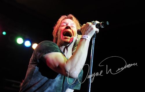 Coffin Case All Star Jam 2009 concert photo by Wayne Dennon