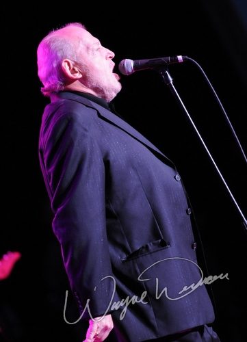 Joe Cocker concert photo by Wayne Dennon