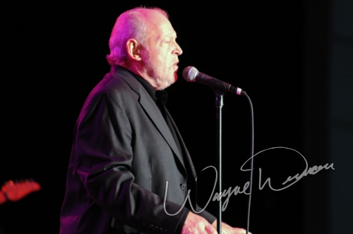 Joe Cocker at Fraze Pavilion Kettering, OH on June 30, 2009 &mdash; concert photo by Wayne Dennon