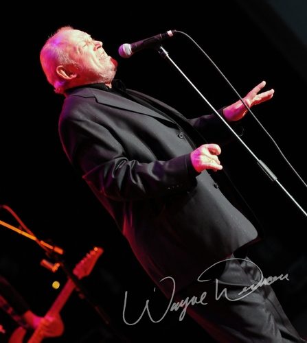 Joe Cocker at Fraze Pavilion Kettering, OH on June 30, 2009 &mdash; concert photo by Wayne Dennon