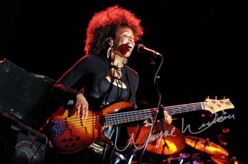Joe Cocker concert photo by Wayne Dennon