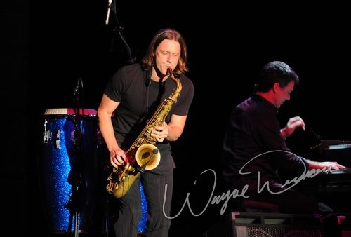 Joe Cocker concert photo by Wayne Dennon