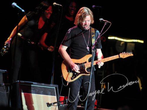 Joe Cocker concert photo by Wayne Dennon