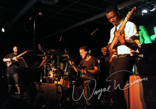 Animals As Leaders at The Attic Dayton, OH on November 7, 2009 &mdash; concert photo by Wayne Dennon