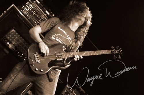 Taddy Porter concert photo by Wayne Dennon