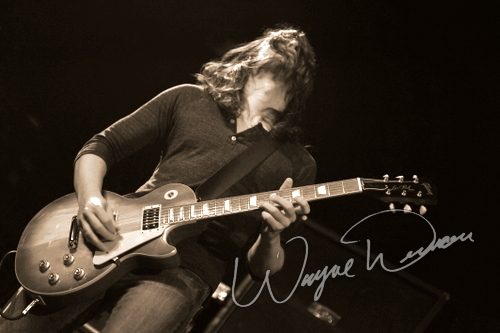Taddy Porter concert photo by Wayne Dennon