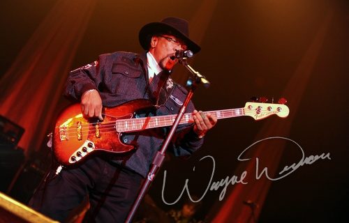 Billy Cox at Taft Theatre Cincinnati, OH on November 17, 2010 &mdash; concert photo by Wayne Dennon