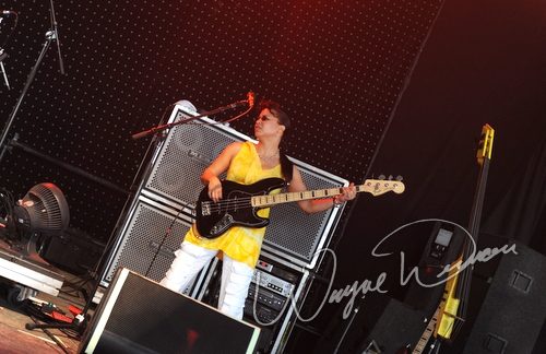 Jeff Beck at Bonnaroo Manchester, TN on June 12, 2010 &mdash; concert photo by Wayne Dennon