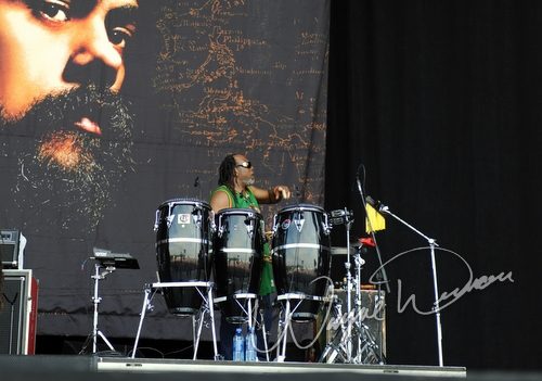 Damian Marley & Nas at Bonnaroo Manchester, TN on June 11, 2010 &mdash; concert photo by Wayne Dennon