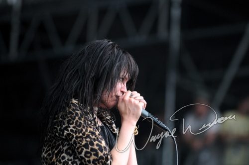 The Dead Weather at Bonnaroo Manchester, TN on June 12, 2010 &mdash; concert photo by Wayne Dennon