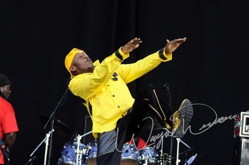 Jimmy Cliff concert photo by Wayne Dennon