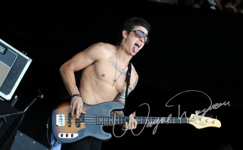 Burn Halo concert photo by Wayne Dennon
